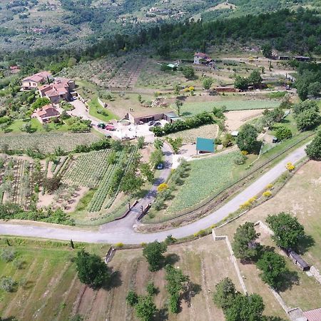Agriturismo Villa Iris Castelfranco di Sopra Екстер'єр фото