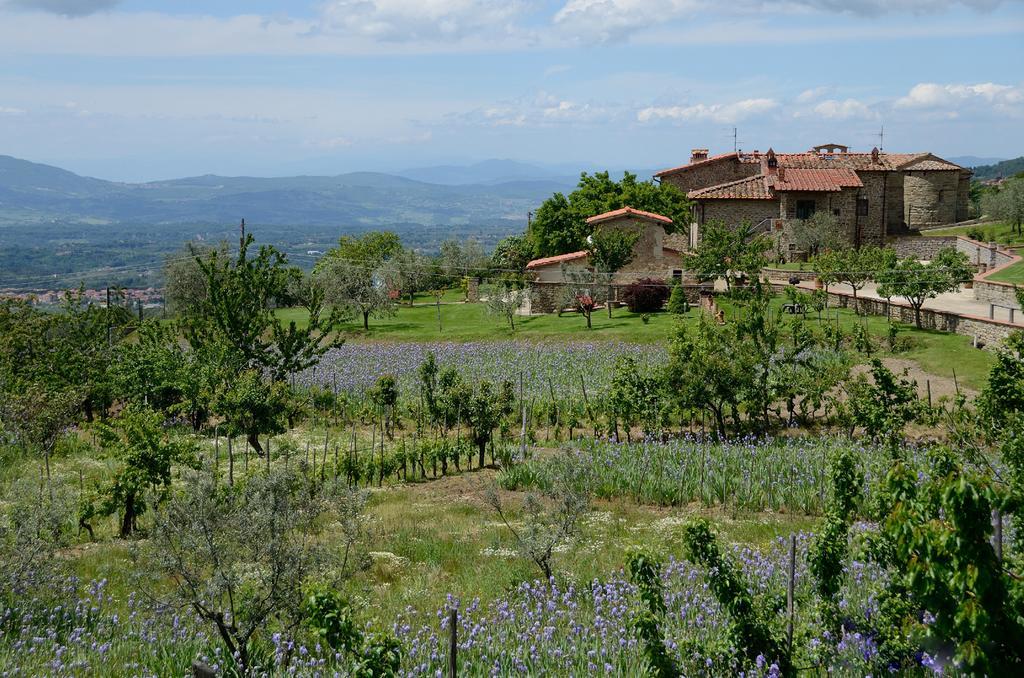 Agriturismo Villa Iris Castelfranco di Sopra Екстер'єр фото