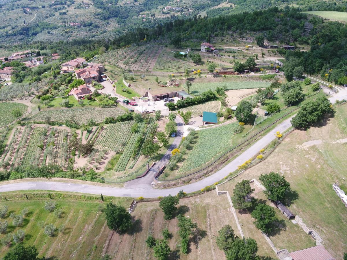 Agriturismo Villa Iris Castelfranco di Sopra Екстер'єр фото