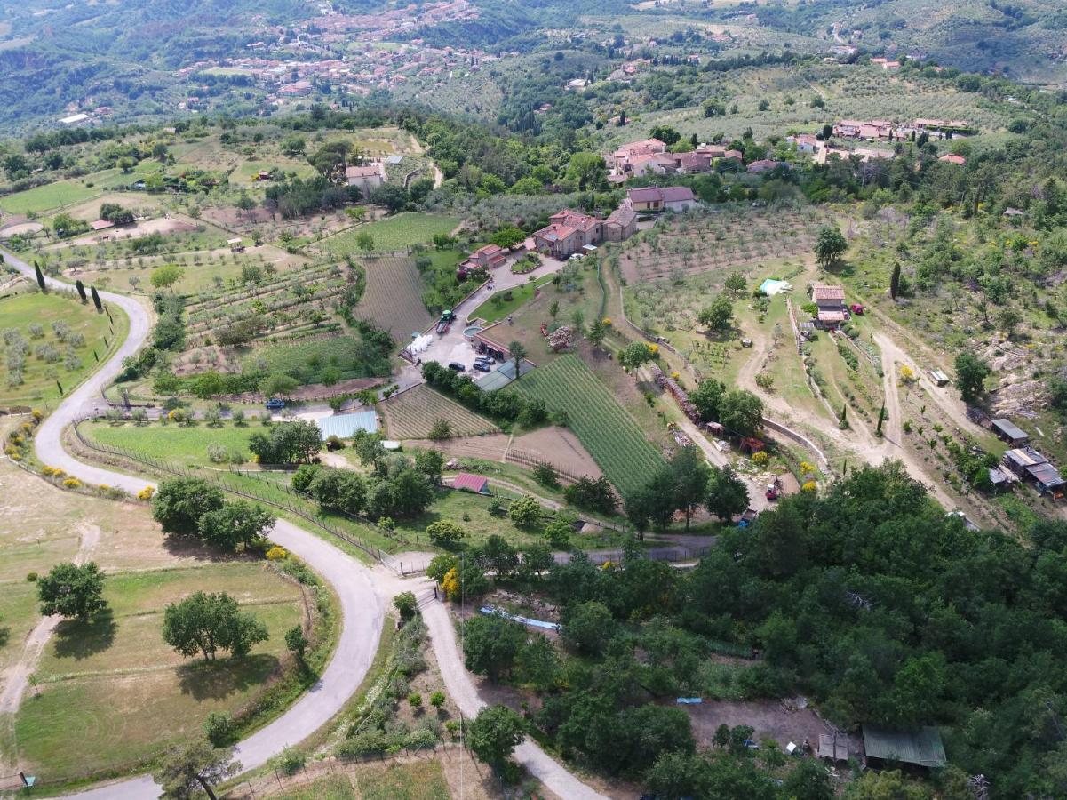 Agriturismo Villa Iris Castelfranco di Sopra Екстер'єр фото